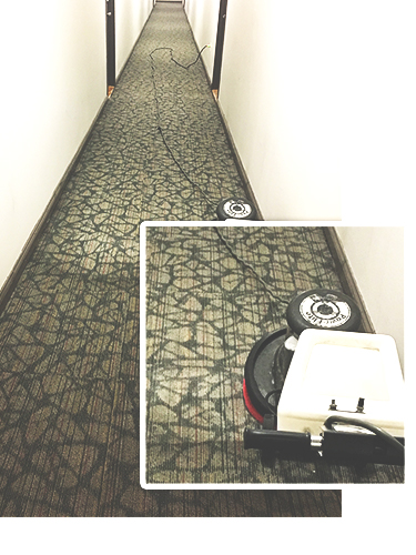 Carpet Cleaning Applications